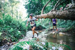 BIB: 
                            <button type="button" onclick="openModal(25437149)" class="btn btn-primary btn-sm float-right btn-popup" data-toggle="modal" data-target=".modal-high-quality">
                        <i class="fas fa-shopping-cart"></i> Add to Cart
                    </button>
                                            <button type="button" onclick="isThisMe(25437149, true)" class="btn btn-success btn-sm float-right btn-popup btn-isme hidden" data-toggle="tooltip" data-placement="bottom" title="นี่คือรูปของคุณใช่ไหม คลิกที่นี่เพื่อเอาเข้าอัลบั้ม">
                        <i class="fas fa-plus"></i> Add to album
                    </button>
                    <button type="button" onclick="isThisMe(25437149, false)" class="btn btn-warning btn-sm float-right btn-popup btn-isnotme hidden">
                        <i class="fas fa-ban"></i> Remove from album
                    </button>